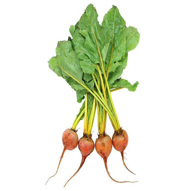Baby Golden Yukon Beetroot