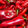 Red Romero Pepper