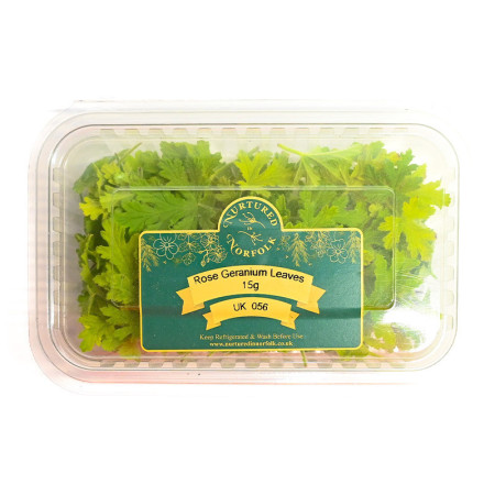 Geranium Rose Leaves