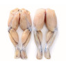 Frozen Frog Legs