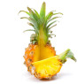 Baby Pineapple