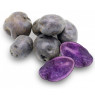 Black/Purple Truffle Potato