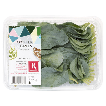 Oyster Leaves