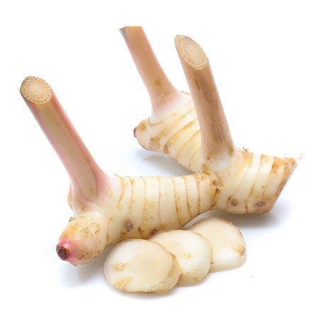 Galangal