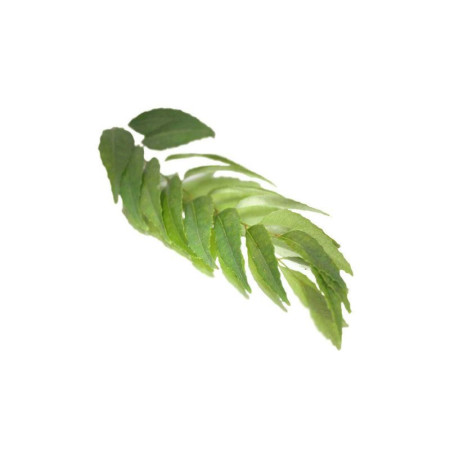 Curry Leaves