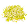 Micro Golden Pea Shoots