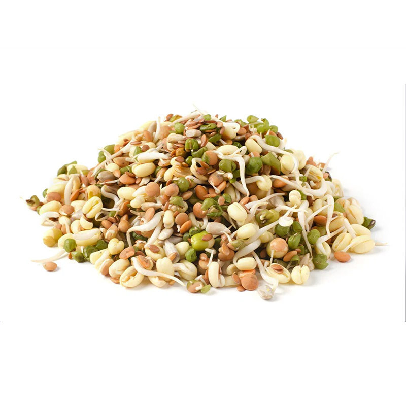 Mixed Sprouts