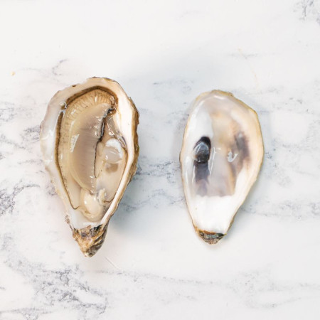 Fines De Claire Marennes Oleron Oyster