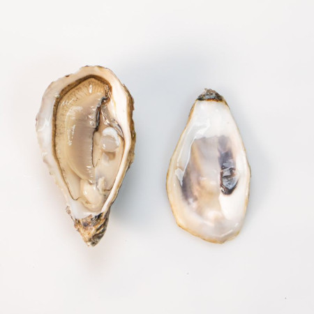 Fines De Claire Marennes Oleron Oyster