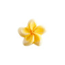 White Chocolate Tiare Flowers