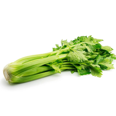 Leafy Celery