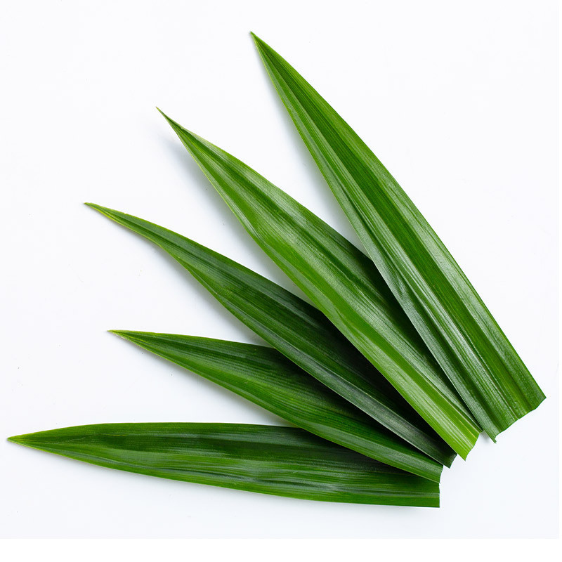Pandan Leaves