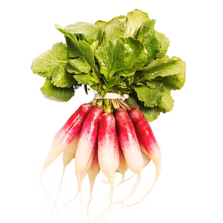 Breakfast Baby Radish