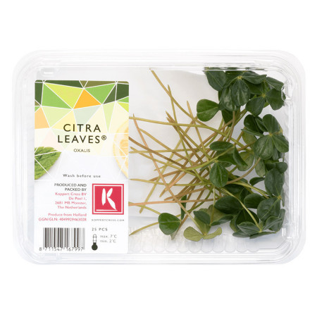 Citra Leaves