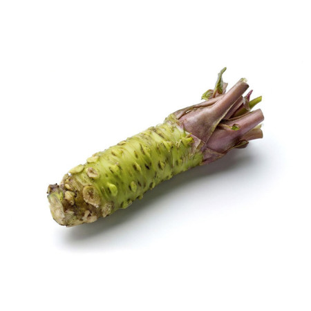 Fresh English Wasabi Root