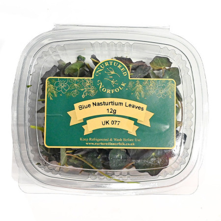 Blue Nasturtium Leaves