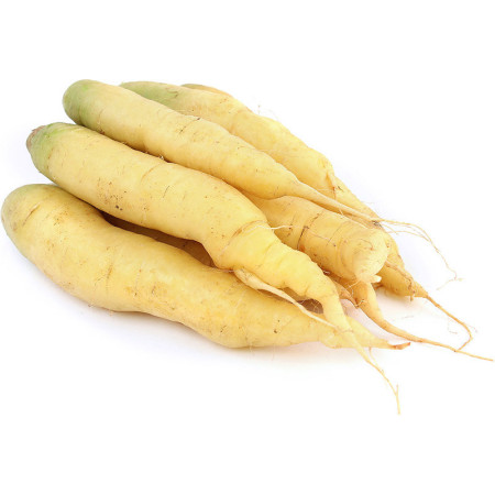 White Carrot
