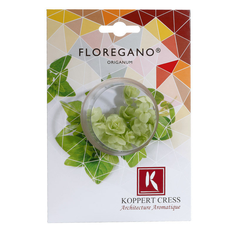 Floregano Flower