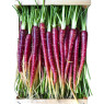 Eric Roy Purple Baby Carrot