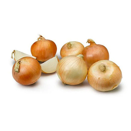 Button Brown Skin Onion