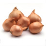 Round Shallot