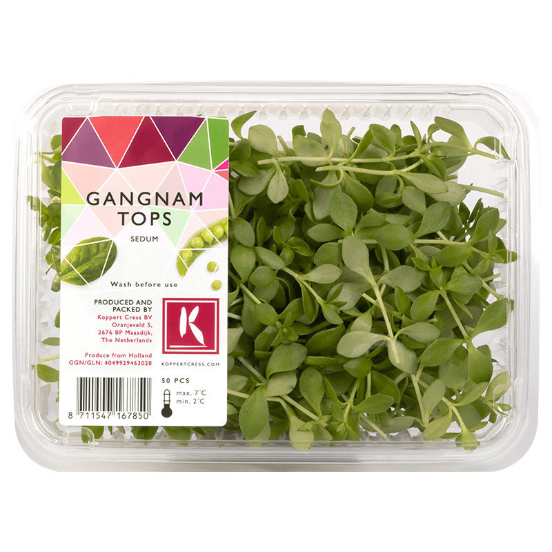 Gangnam Tops