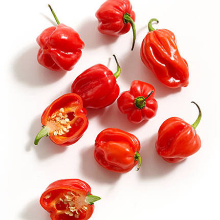 Chilli Habanero