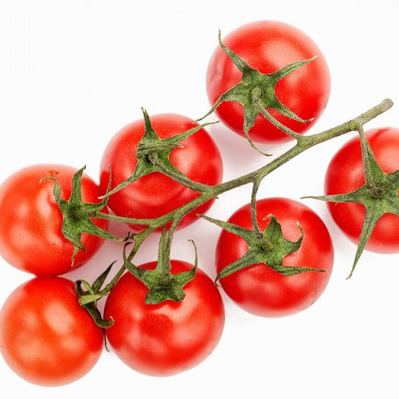 Vine Cocktail Tomato