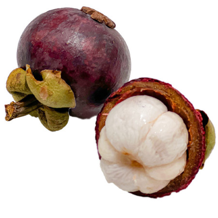 Mangostein