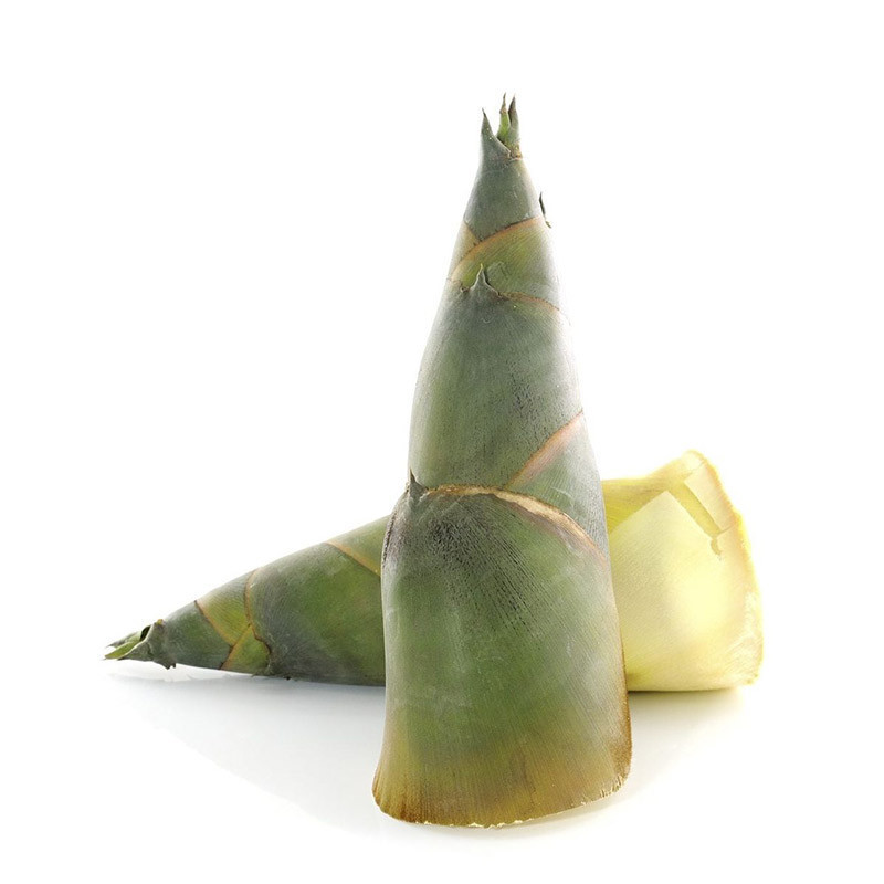 Bamboo Shoots