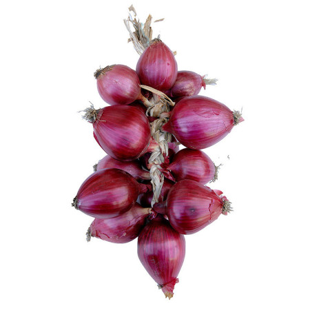 Tropea Onion