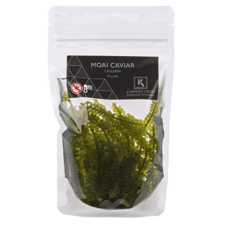 Sea Grapes (Moai Cress)