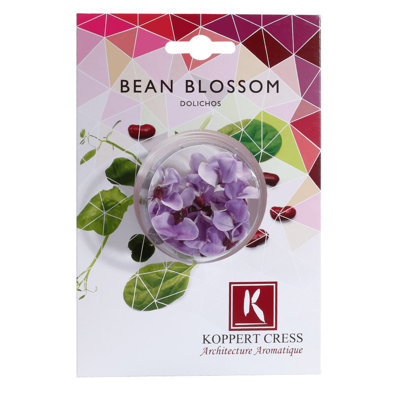 Bean Blossom