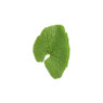 Wasaby Leaves