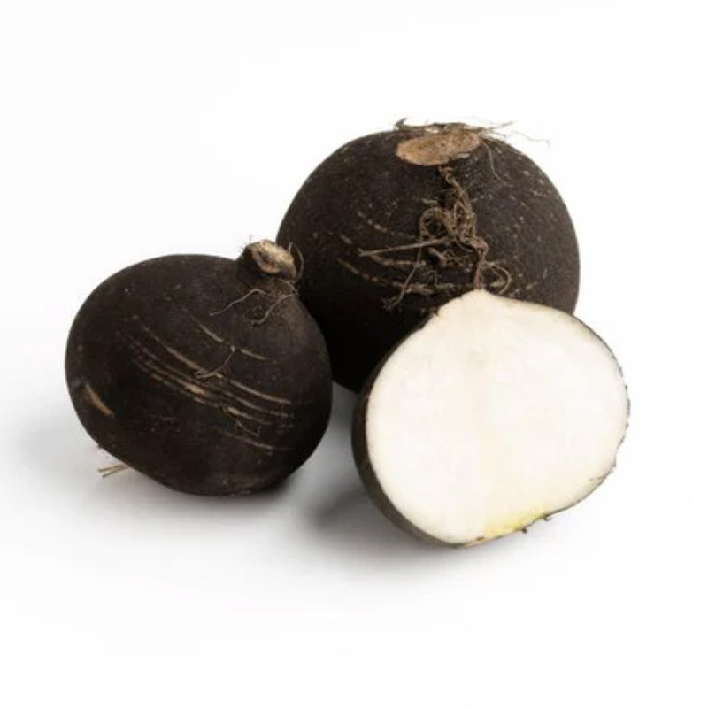 Black Radish