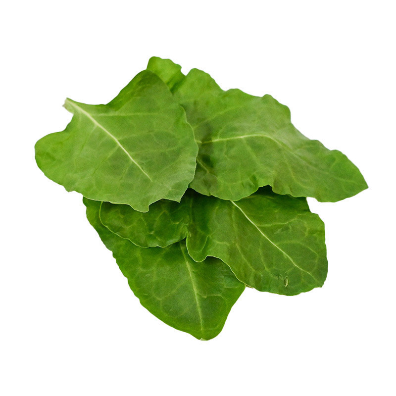 Sea Beet