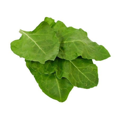 Sea Beet