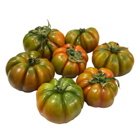 Merinda Tomato