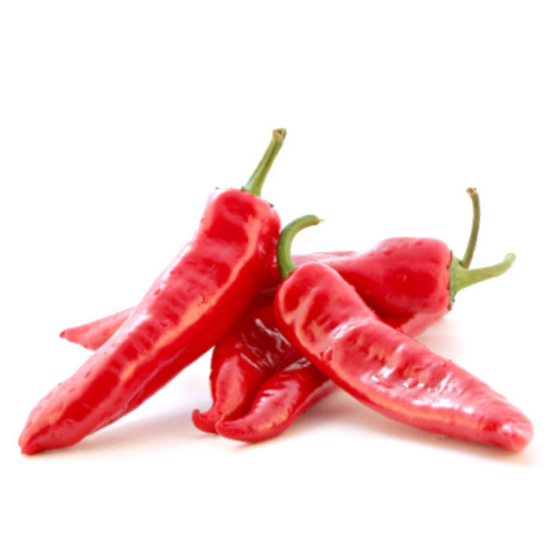 Red Italian Pepper Red