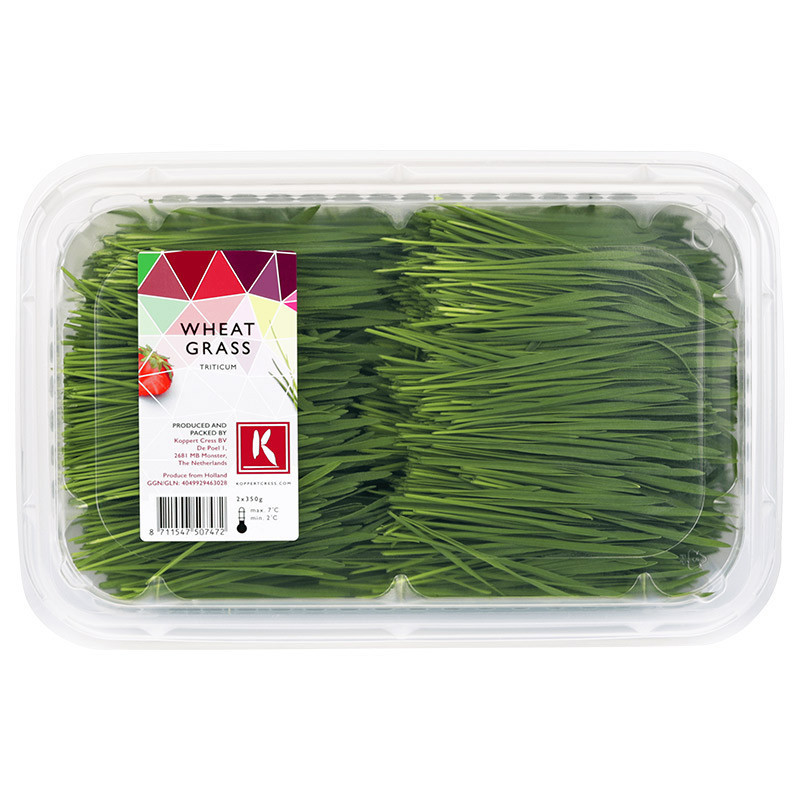 Wheat Grass