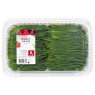 Wheat Grass