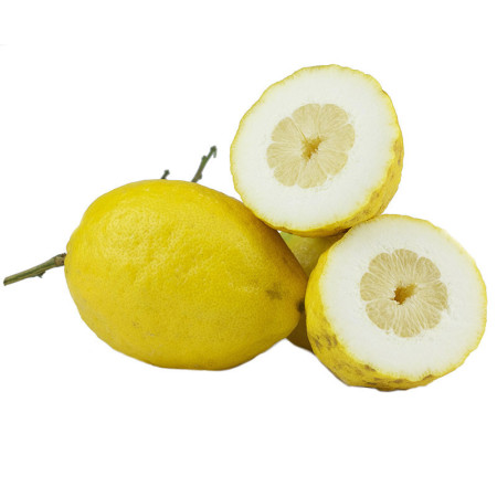 Lemon Cedro