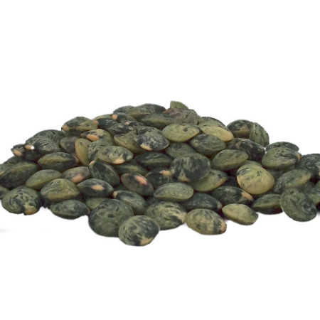 Sabarot Lentils Green Le Puy DOP