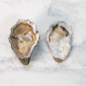 Gillardeau Rock Oysters Special N1