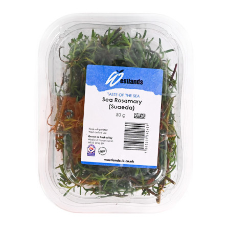 Rosemary Sea