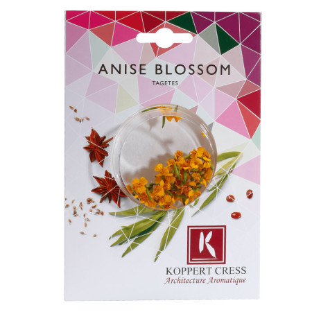 Blossom Anise