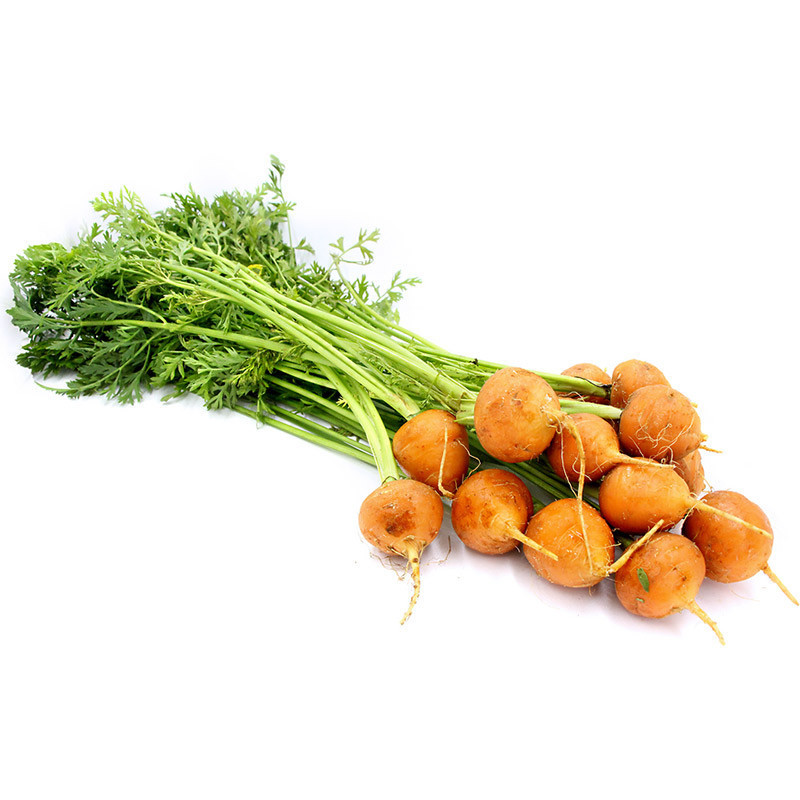 Eric Roy Baby Round Carrot