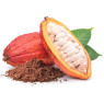 Cocoa Pods