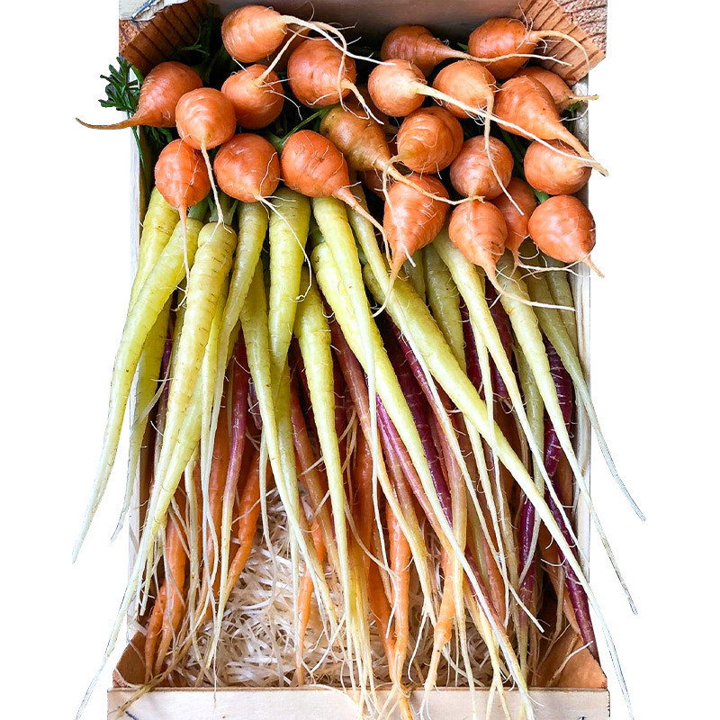 Eric Roy Mixed Baby Carrot