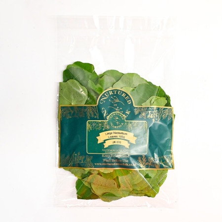 Nasturtium Leaves XL